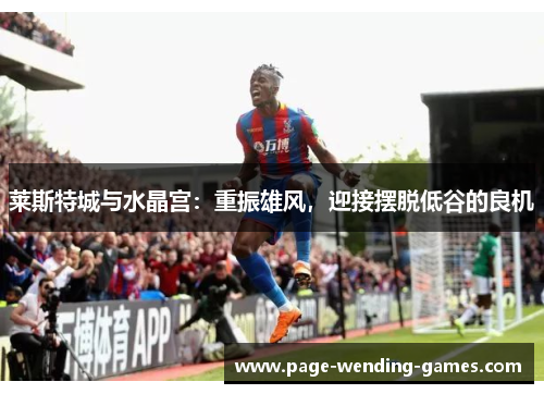 莱斯特城与水晶宫：重振雄风，迎接摆脱低谷的良机