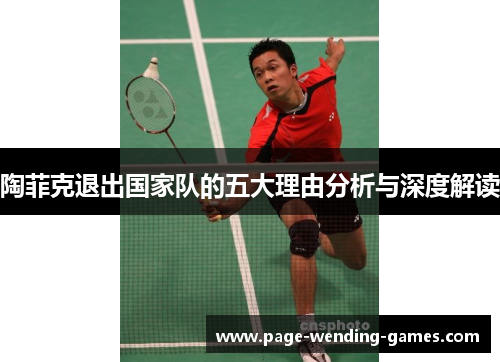 陶菲克退出国家队的五大理由分析与深度解读 陶菲克退出国家队的五大理由分析与深度解读