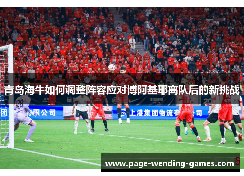 青岛海牛如何调整阵容应对博阿基耶离队后的新挑战 青岛海牛如何调整阵容应对博阿基耶离队后的新挑战